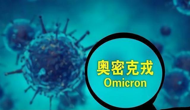 沧州_2025年澳门特马今晚号码,不齿解析-全面释义、解释与落实